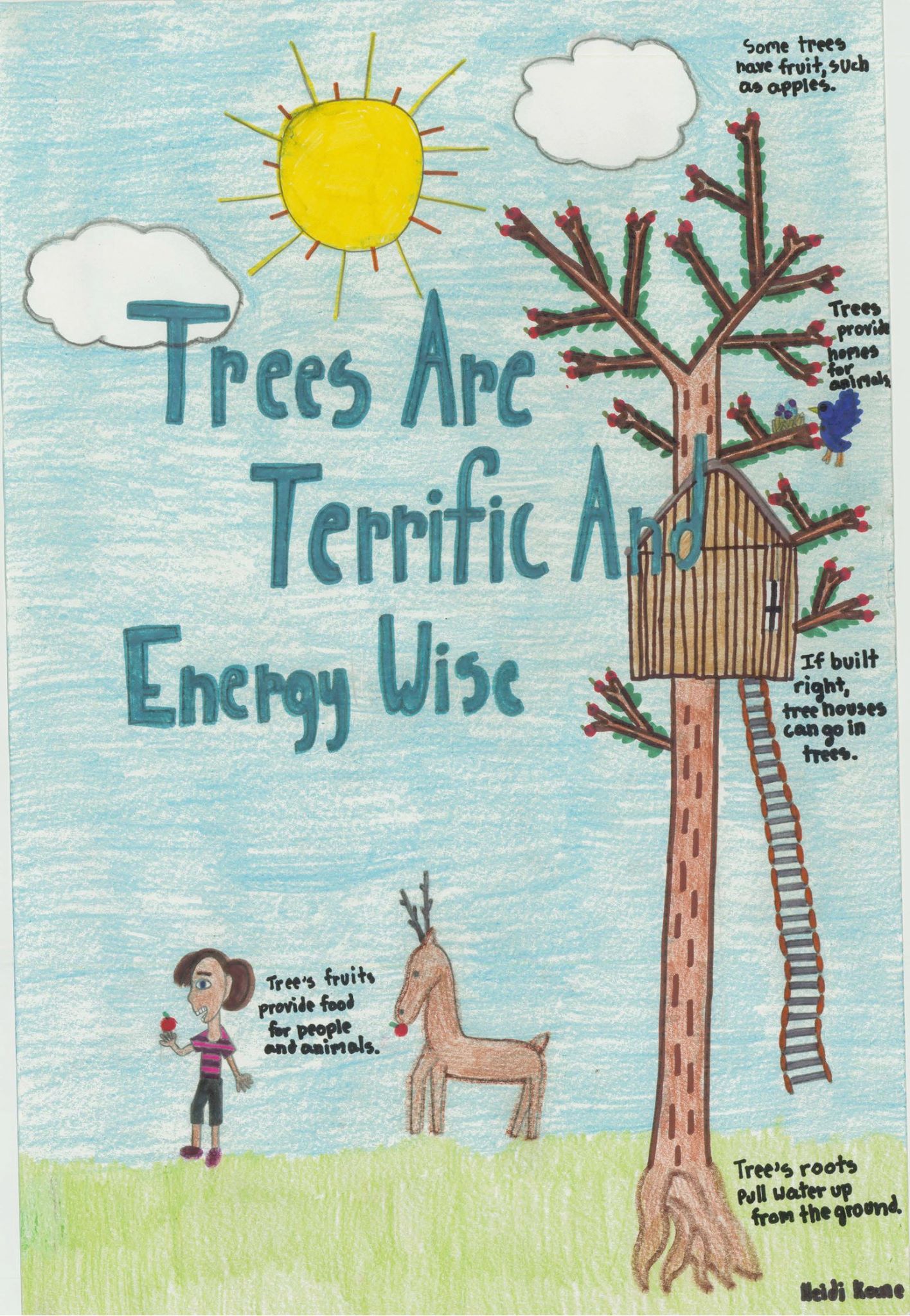 Heidi Kane's 2015 ADPC winning Arbor Day poster