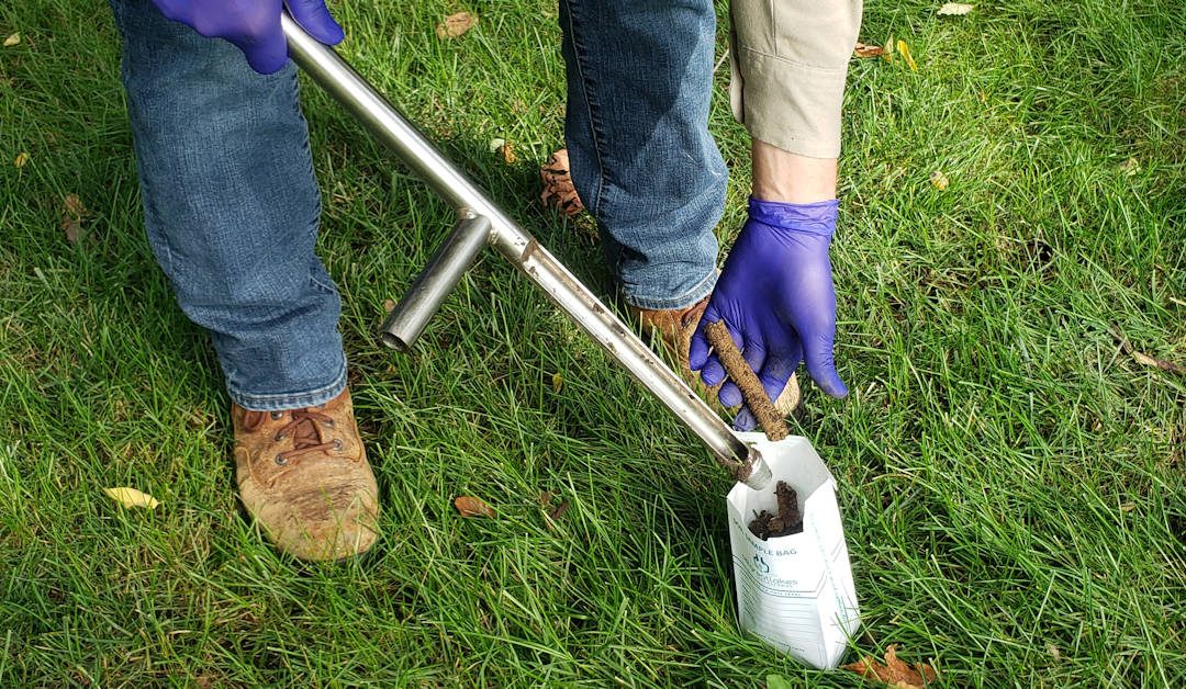How Soil Tests Can Help with Tree Selection