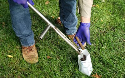 How Soil Tests Can Help with Tree Selection
